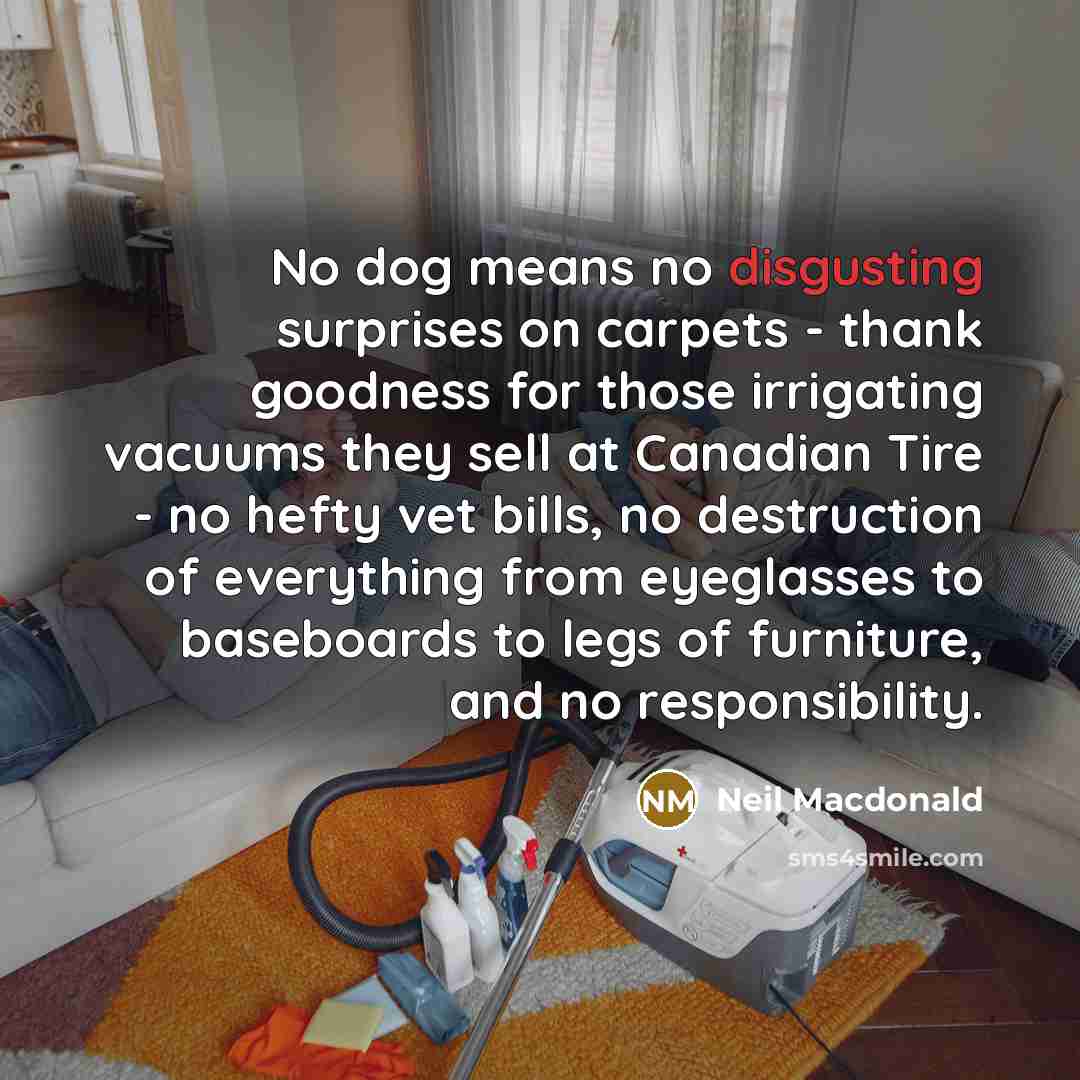 “No dog means no disgusting surprises on carpets - thank…” quote by Neil Macdonald