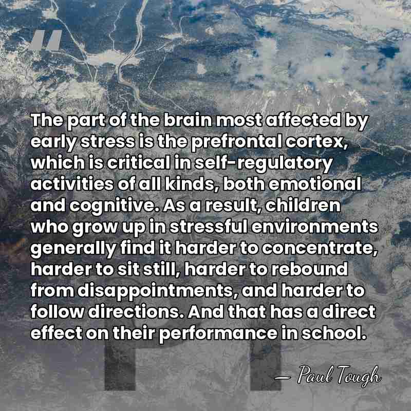 The part of the brain most affected by early stress is the&hellip; - Paul Tough