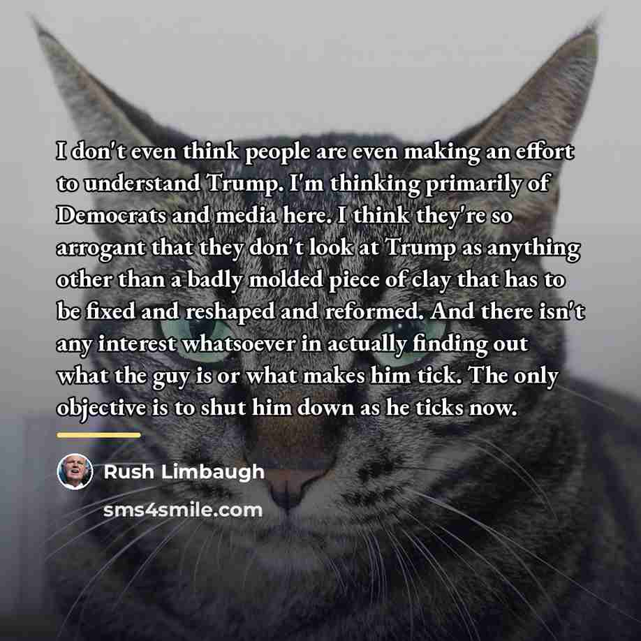 “I don't even think people are even making an effort…” quote by Rush Limbaugh