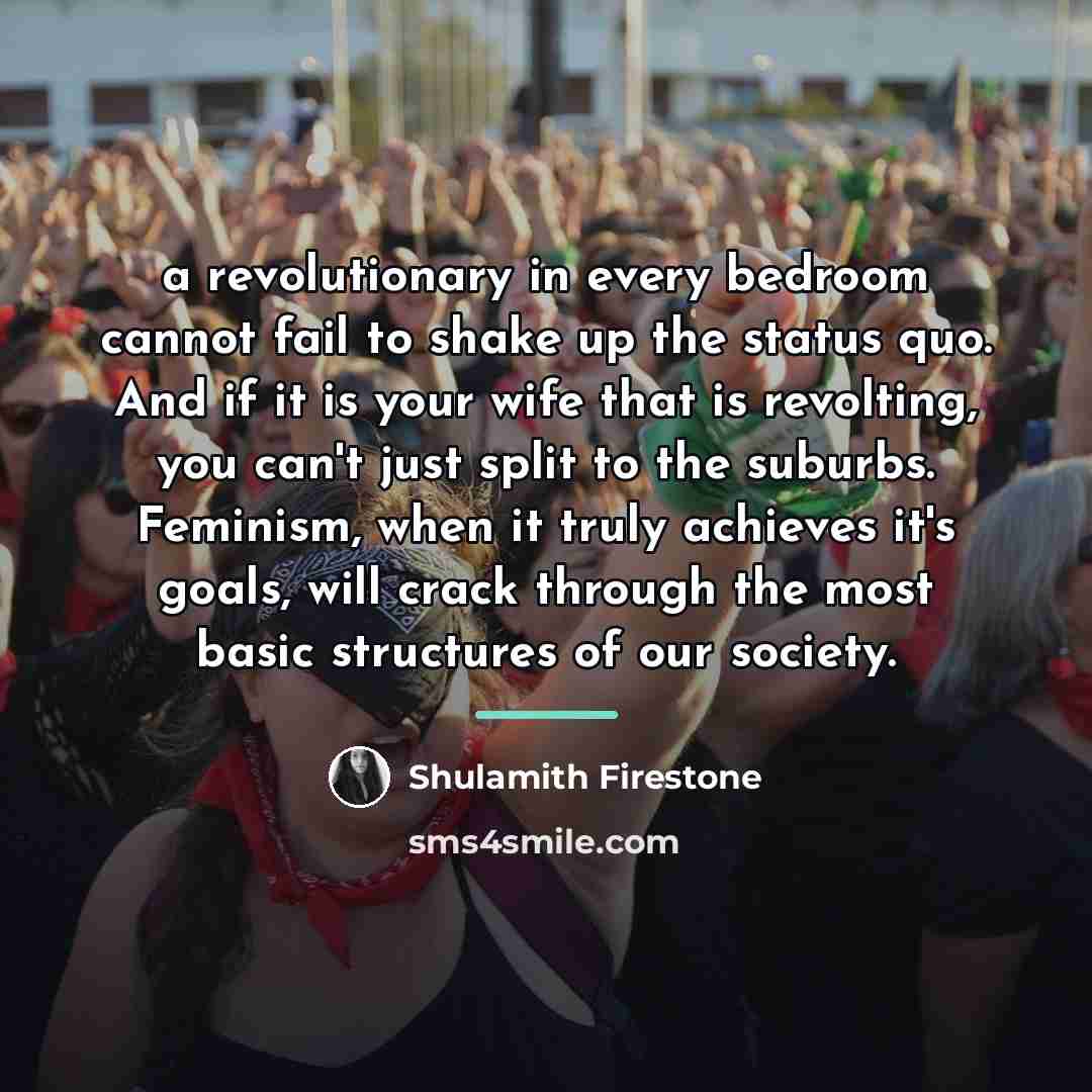 “a revolutionary in every bedroom cannot fail to shake up…” quote by Shulamith Firestone