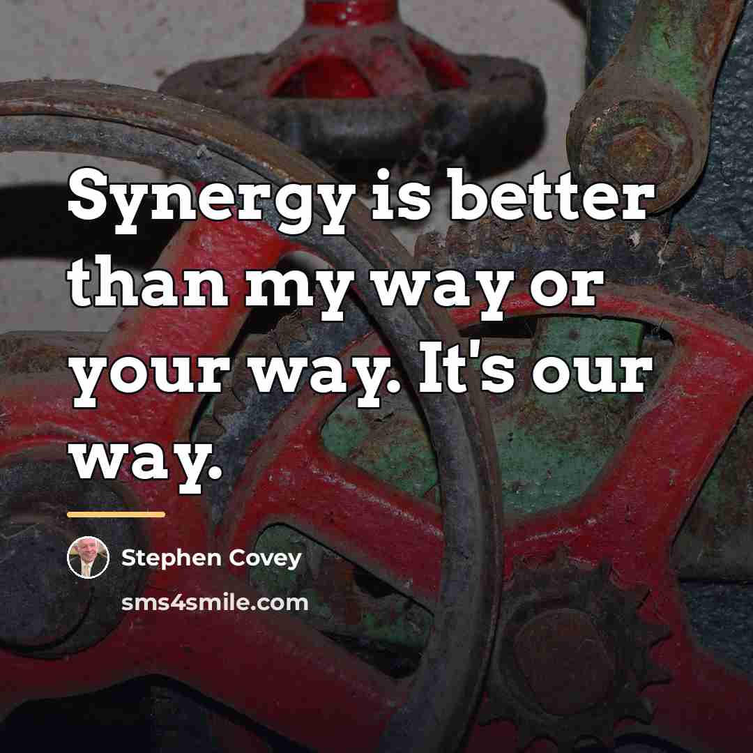 “Synergy is better than my way or your way. It's…” quote by Stephen Covey