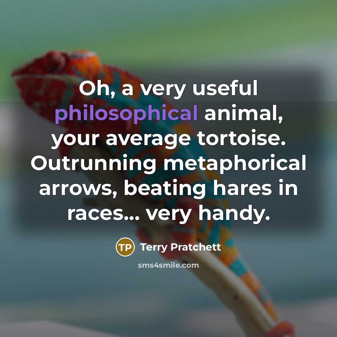 “Oh, a very useful philosophical animal, your average tortoise. Outrunning…” quote by Terry Pratchett