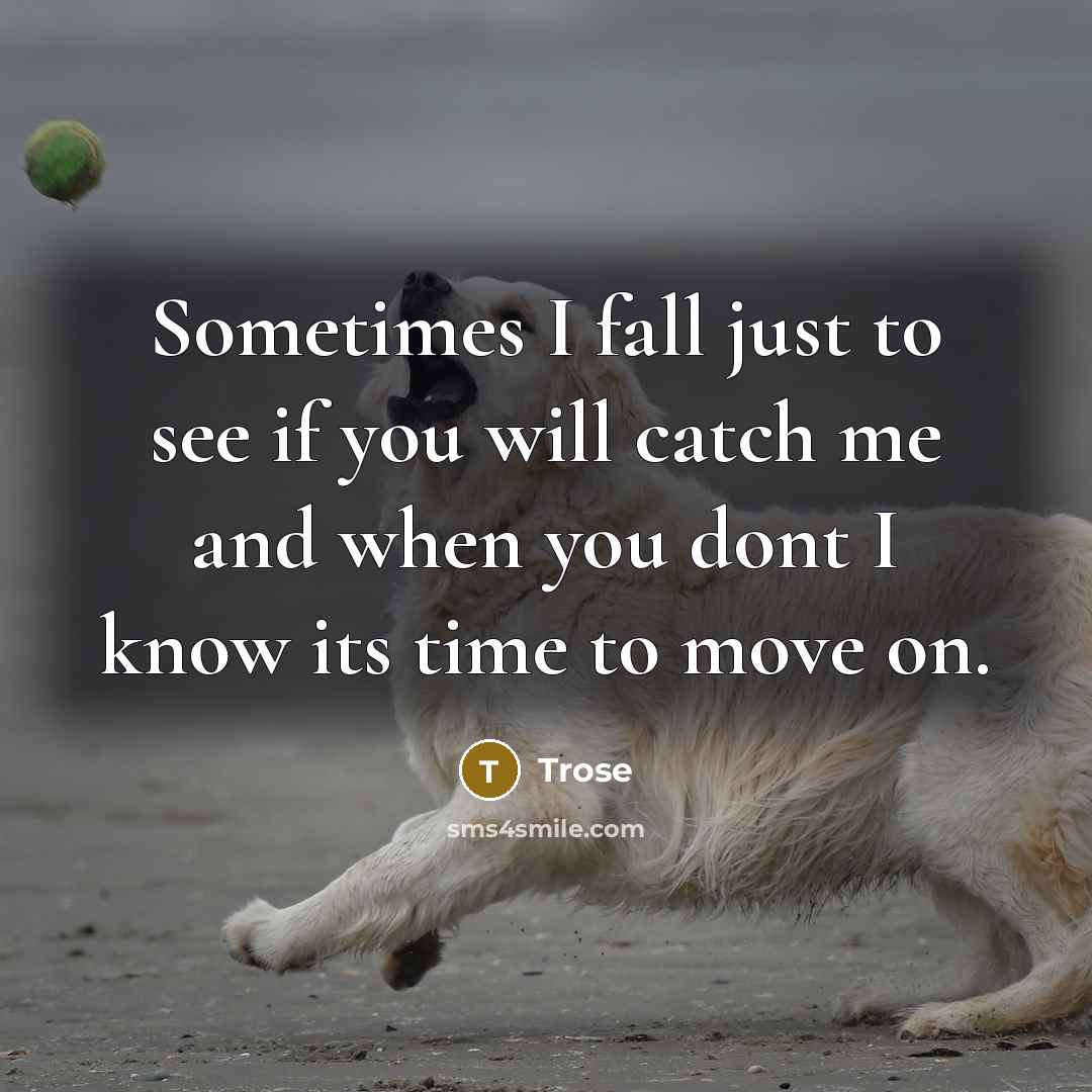 “Sometimes I fall just to see if you will catch me and when you dont I know its time to move on.” quote by Trose