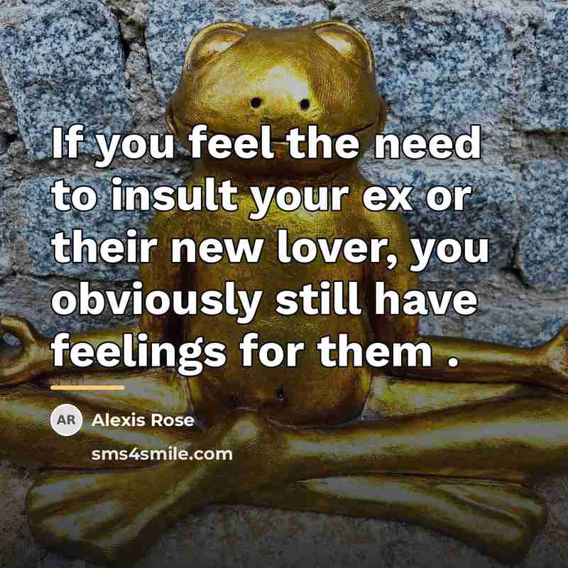 “If you feel the need to insult your ex or…” quote by Anonymous