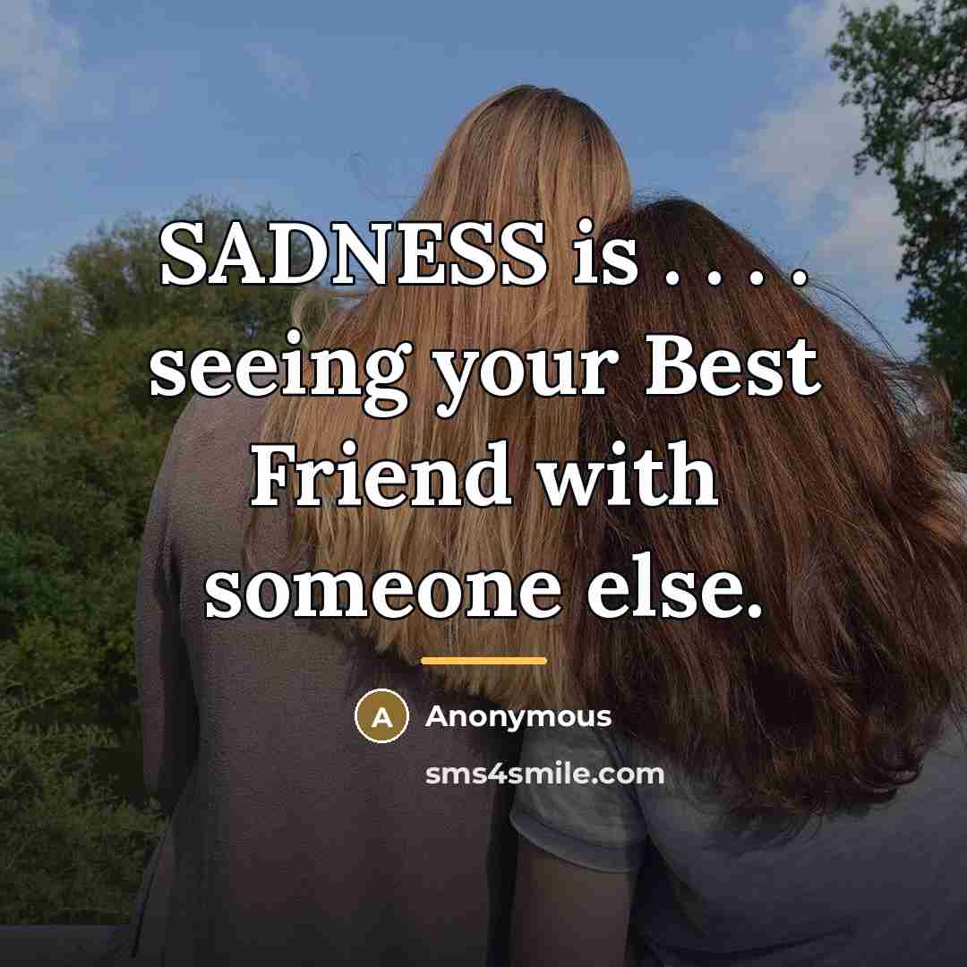 “SADNESS is . . . . seeing your Best Friend…” quote by Anonymous