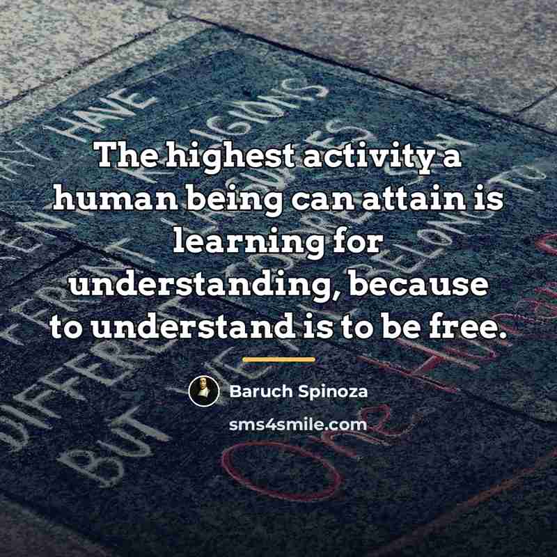 “The highest activity a human being can attain is learning…” quote by Baruch Spinoza