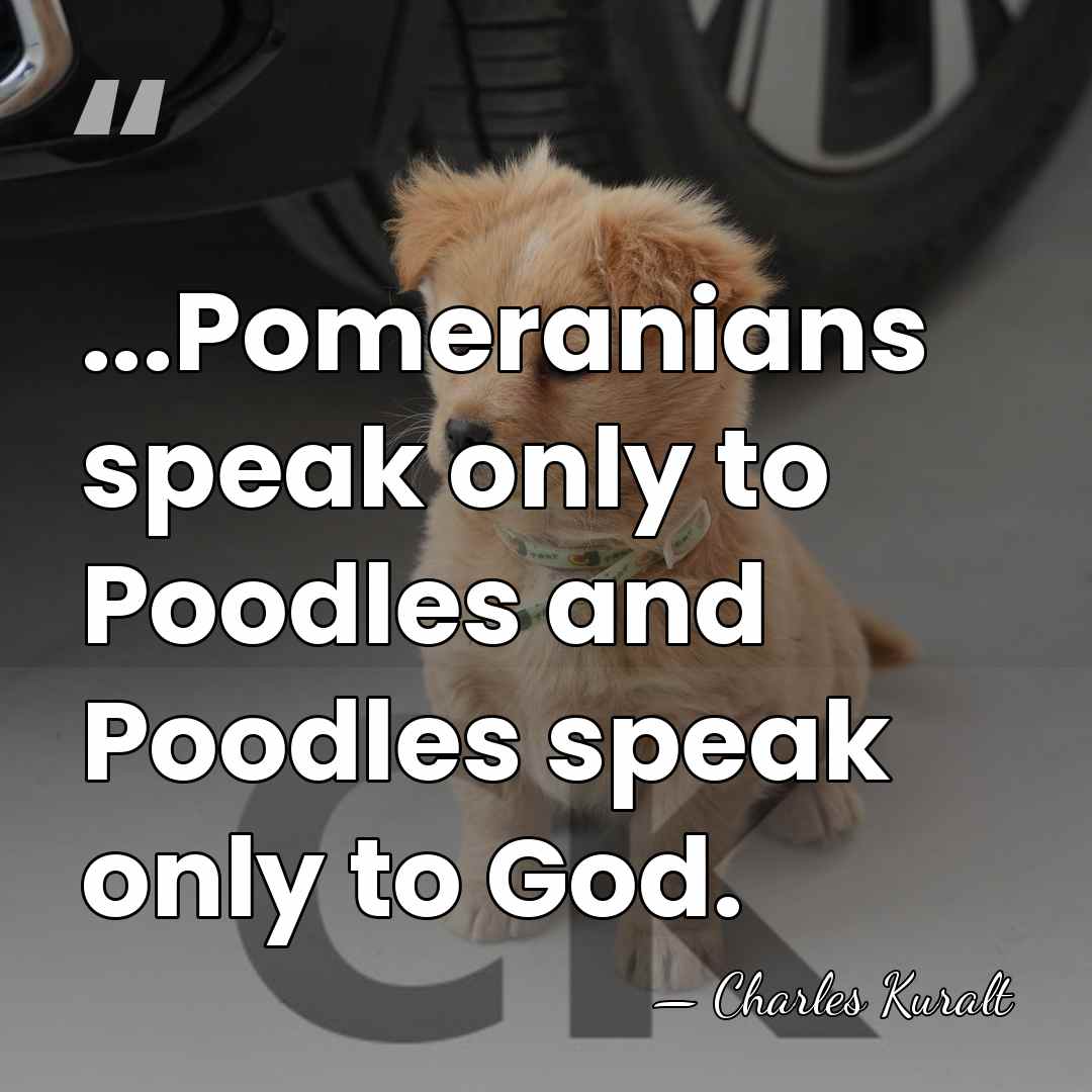 ...Pomeranians speak only to Poodles and Poodles speak only to God. - Charles Kuralt