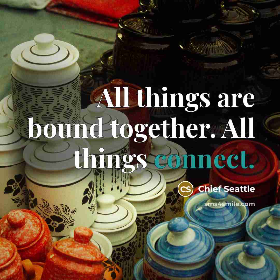 “All things are bound together. All things connect.…” quote by Chief Seattle