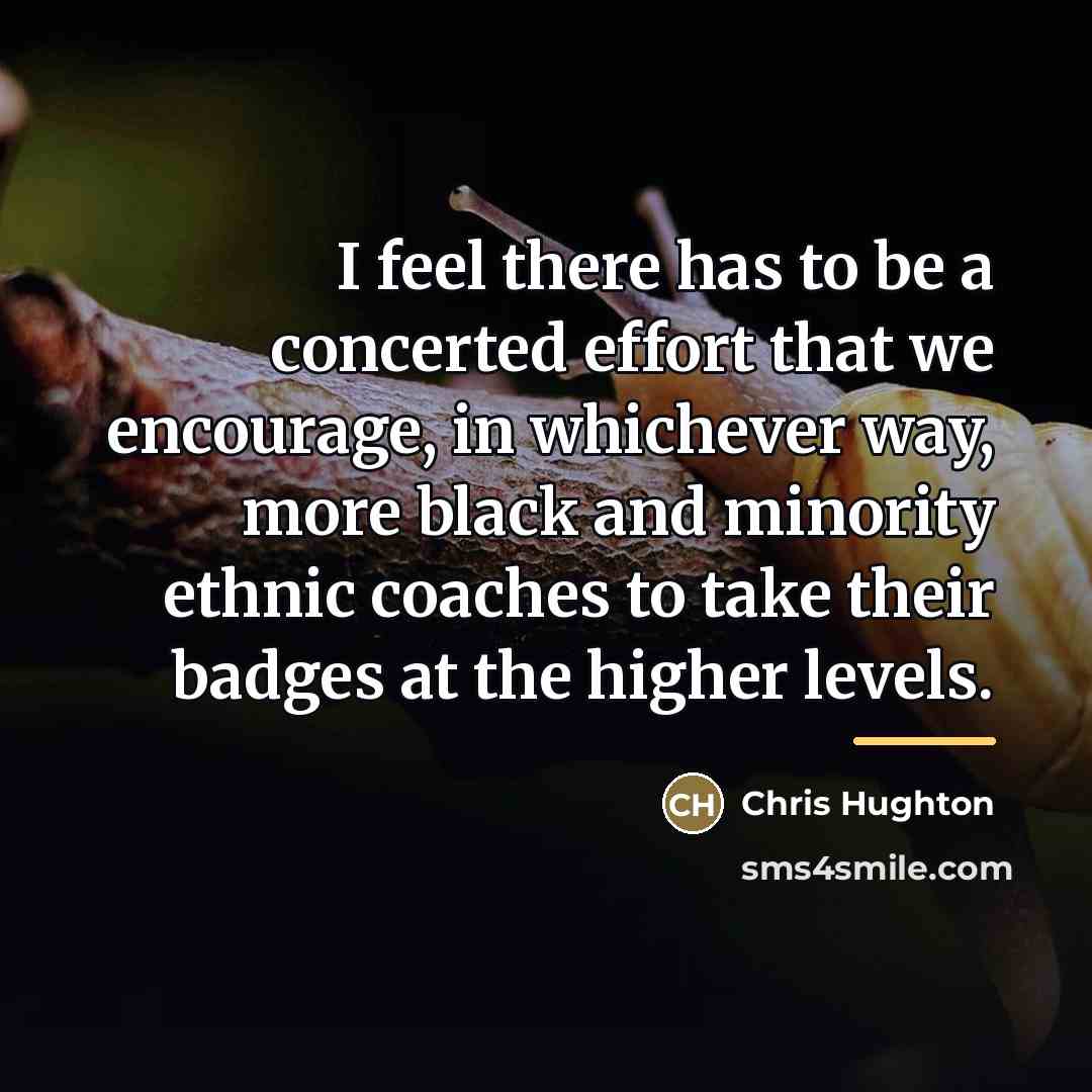 “I feel there has to be a concerted effort that…” quote by Chris Hughton