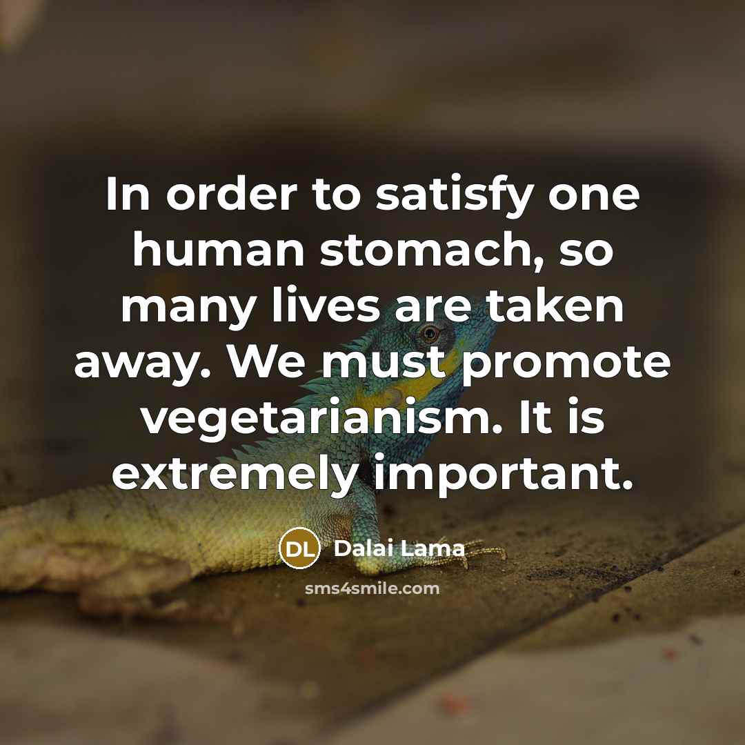 “In order to satisfy one human stomach, so many lives…” quote by Dalai Lama
