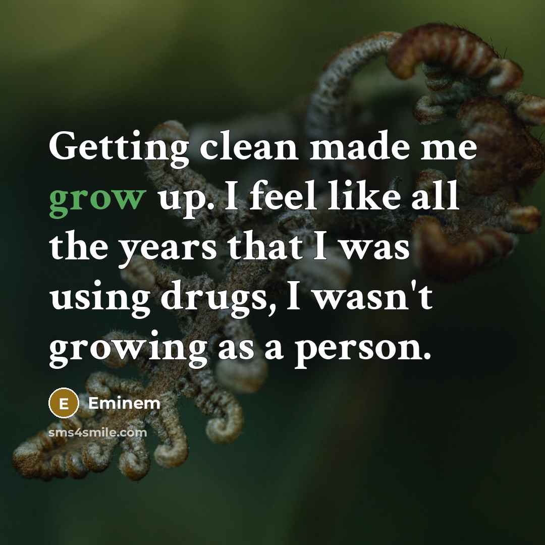 “Getting clean made me grow up. I feel like all…” quote by Eminem