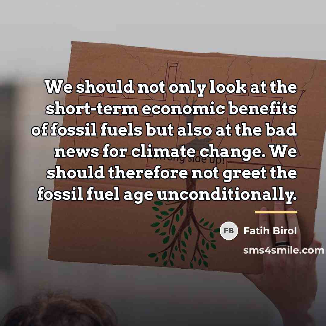 “We should not only look at the short-term economic benefits…” quote by Fatih Birol