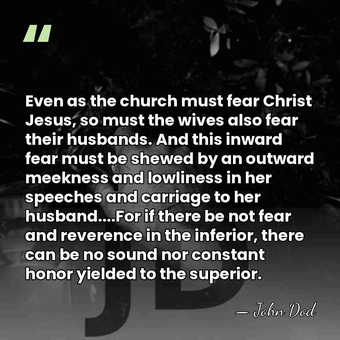 Even as the church must fear Christ Jesus, so must the wives&hellip; - John Dod
