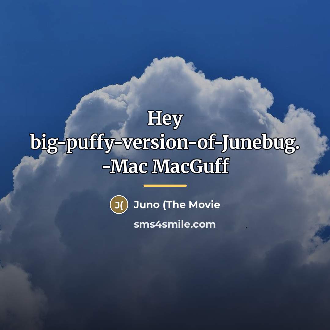 “Hey big-puffy-version-of-Junebug. -Mac MacGuff…” quote by Juno (The Movie