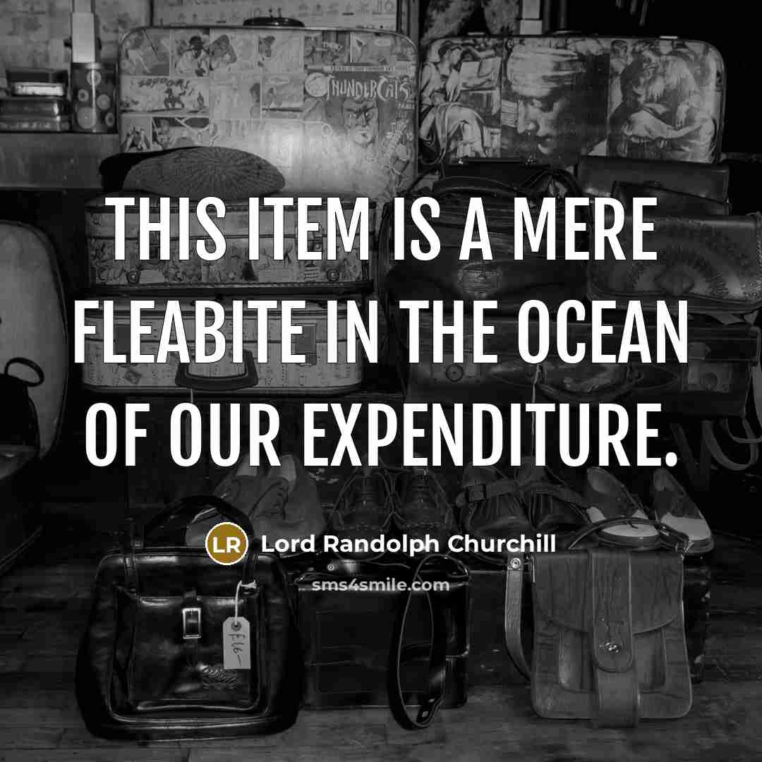 “This item is a mere fleabite in the ocean of…” quote by Lord Randolph Churchill