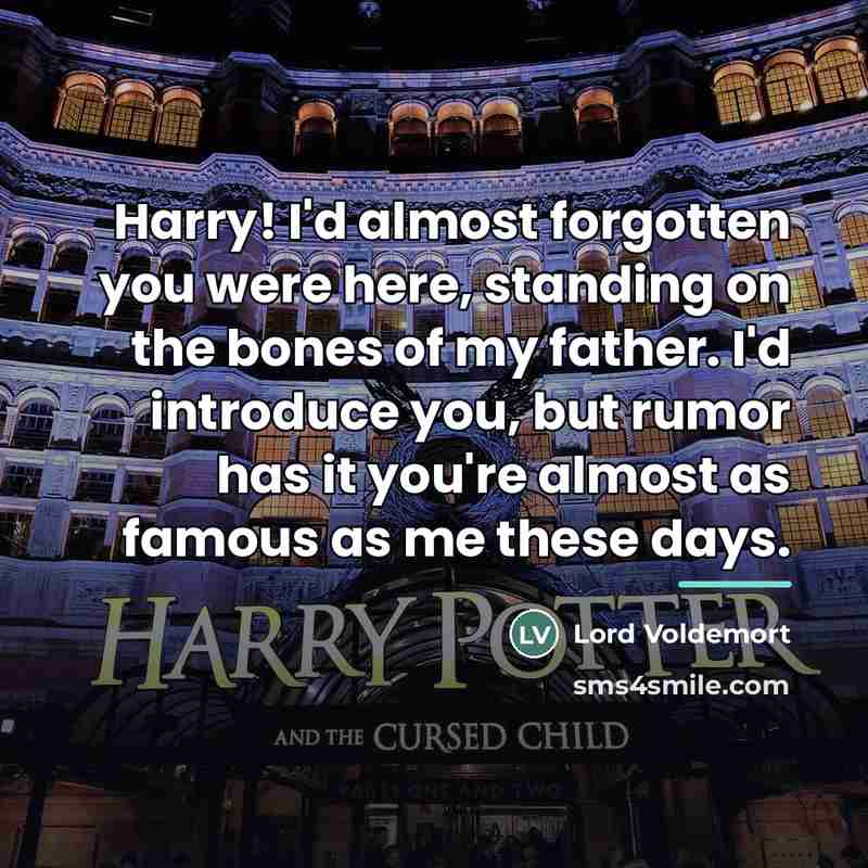 “Harry! I'd almost forgotten you were here, standing on the…” quote by Lord Voldemort