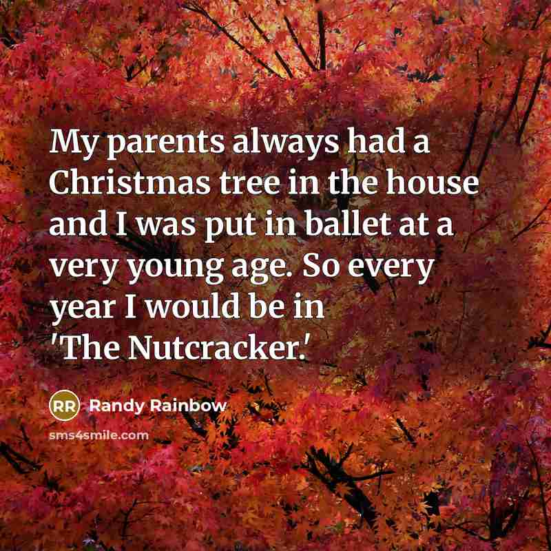 “My parents always had a Christmas tree in the house…” quote by Randy Rainbow