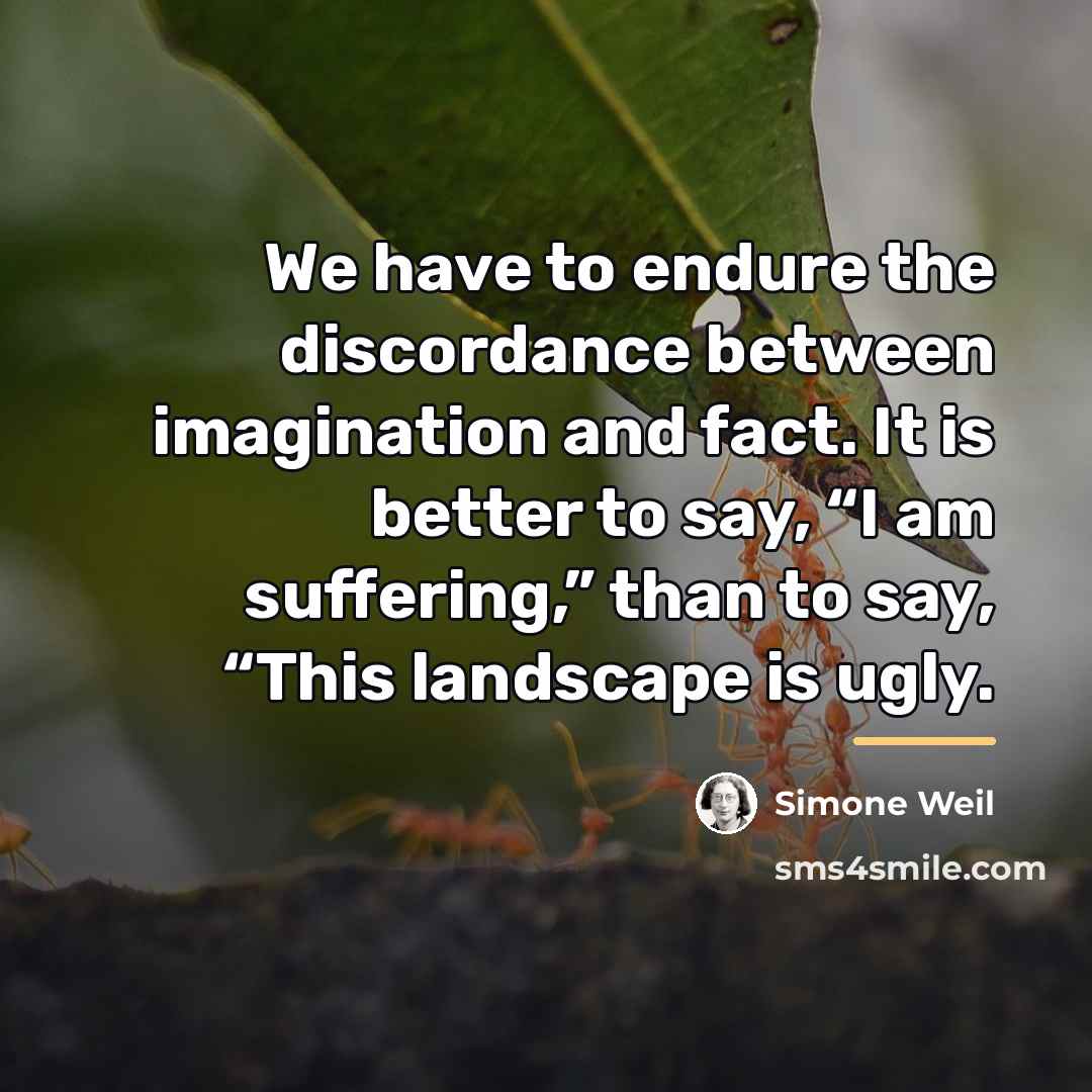 “We have to endure the discordance between imagination and fact.…” quote by Simone Weil