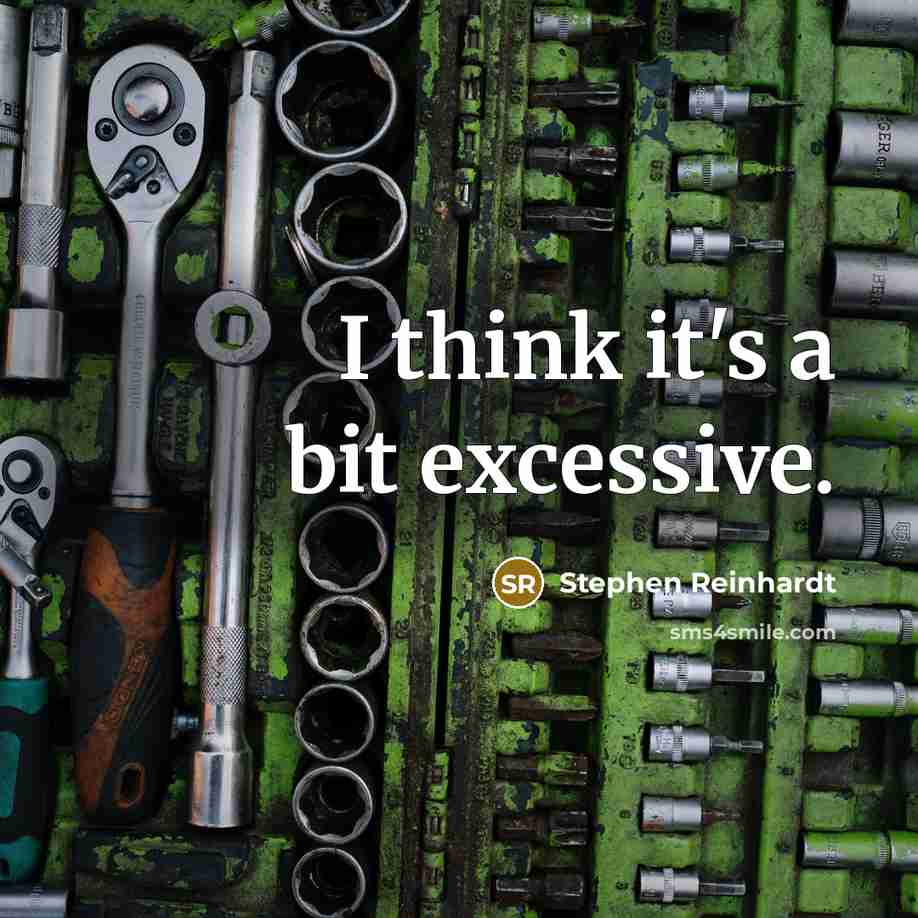 “I think it's a bit excessive.…” quote by Stephen Reinhardt