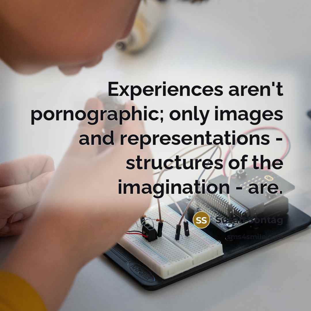 “Experiences aren't pornographic; only images and representations - structures of…” quote by Susan Sontag