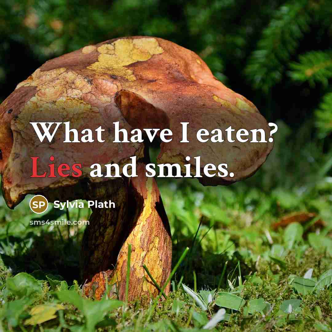 “What have I eaten? Lies and smiles.” quote by Sylvia Plath