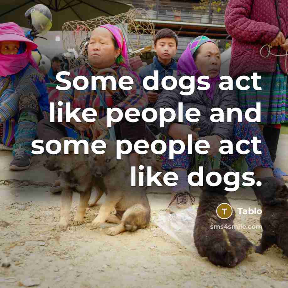 “Some dogs act like people and some people act like…” quote by Tablo