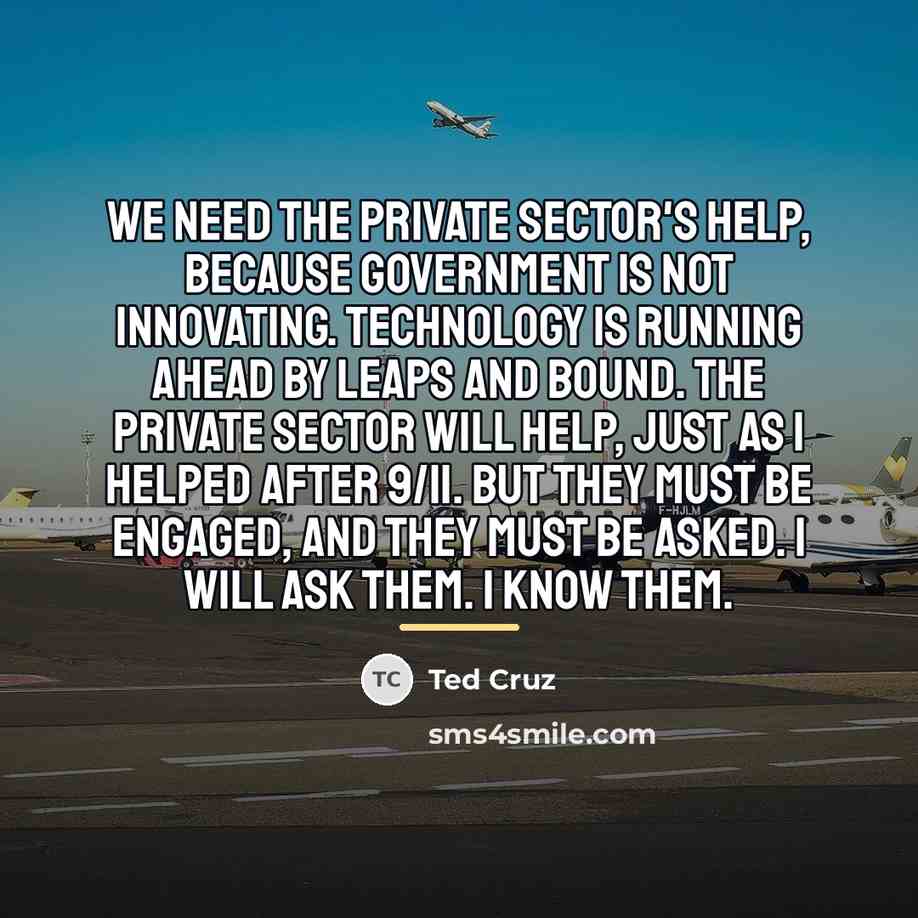 “We need the private sector's help, because government is not…” quote by Ted Cruz