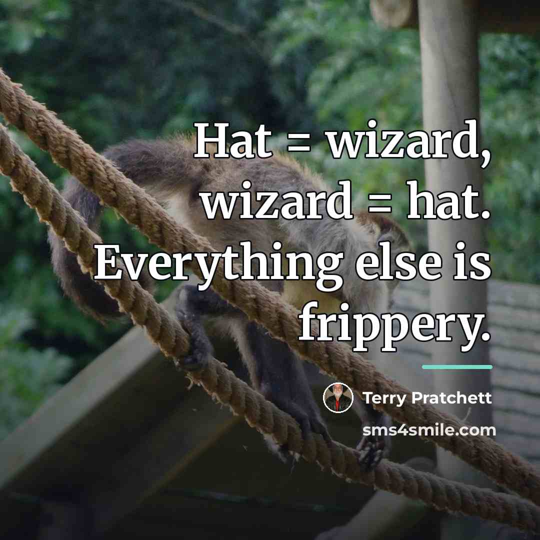 “Hat = wizard, wizard = hat. Everything else is frippery.…” quote by Terry Pratchett