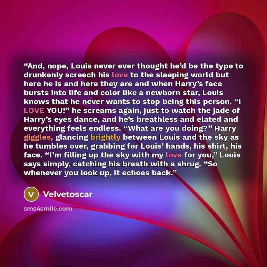 “And, nope, Louis never ever thought he’d be the type to drunkenly screech his love to the sleeping world but here he is and here they are and when Harry’s face bursts into life and color like a newborn star, Louis knows that he never wants to stop being this person. “I LOVE YOU!” he screams again…” quote by Velvetoscar
