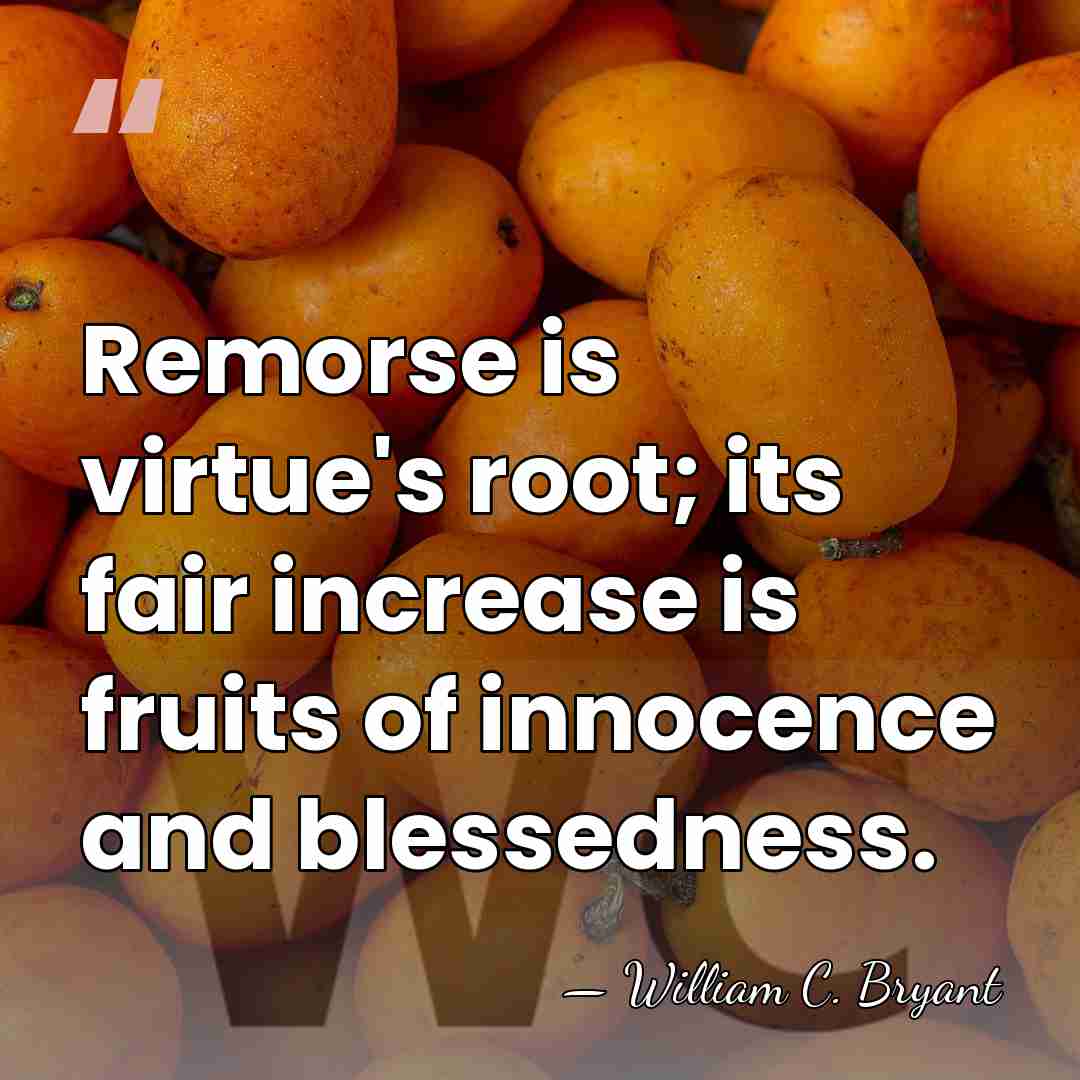 Remorse is virtue's root; its fair increase is fruits of innocence and&hellip; - William C. Bryant