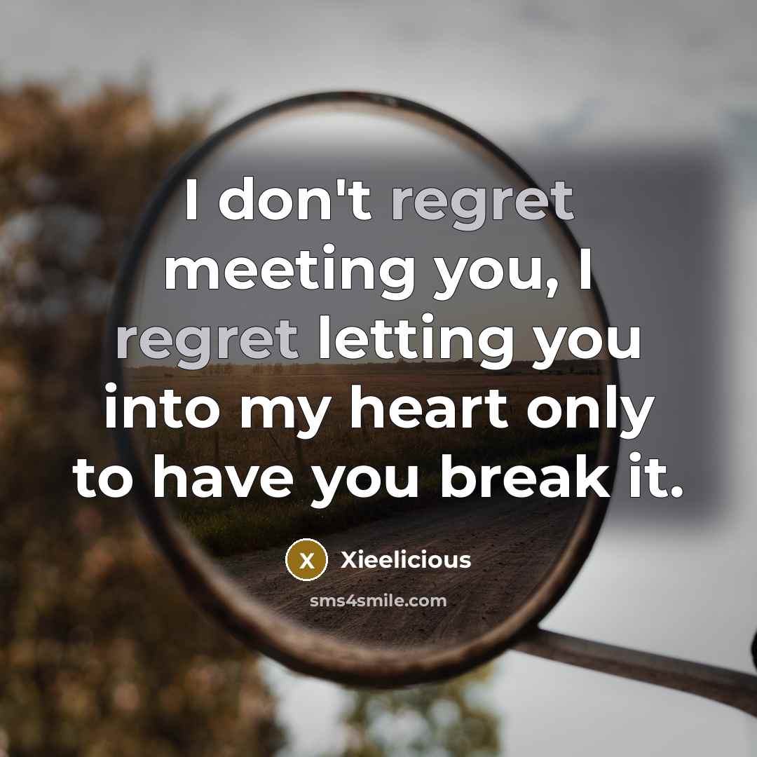 “I don't regret meeting you, I regret letting you into my heart only to have you break it.” quote by Xieelicious