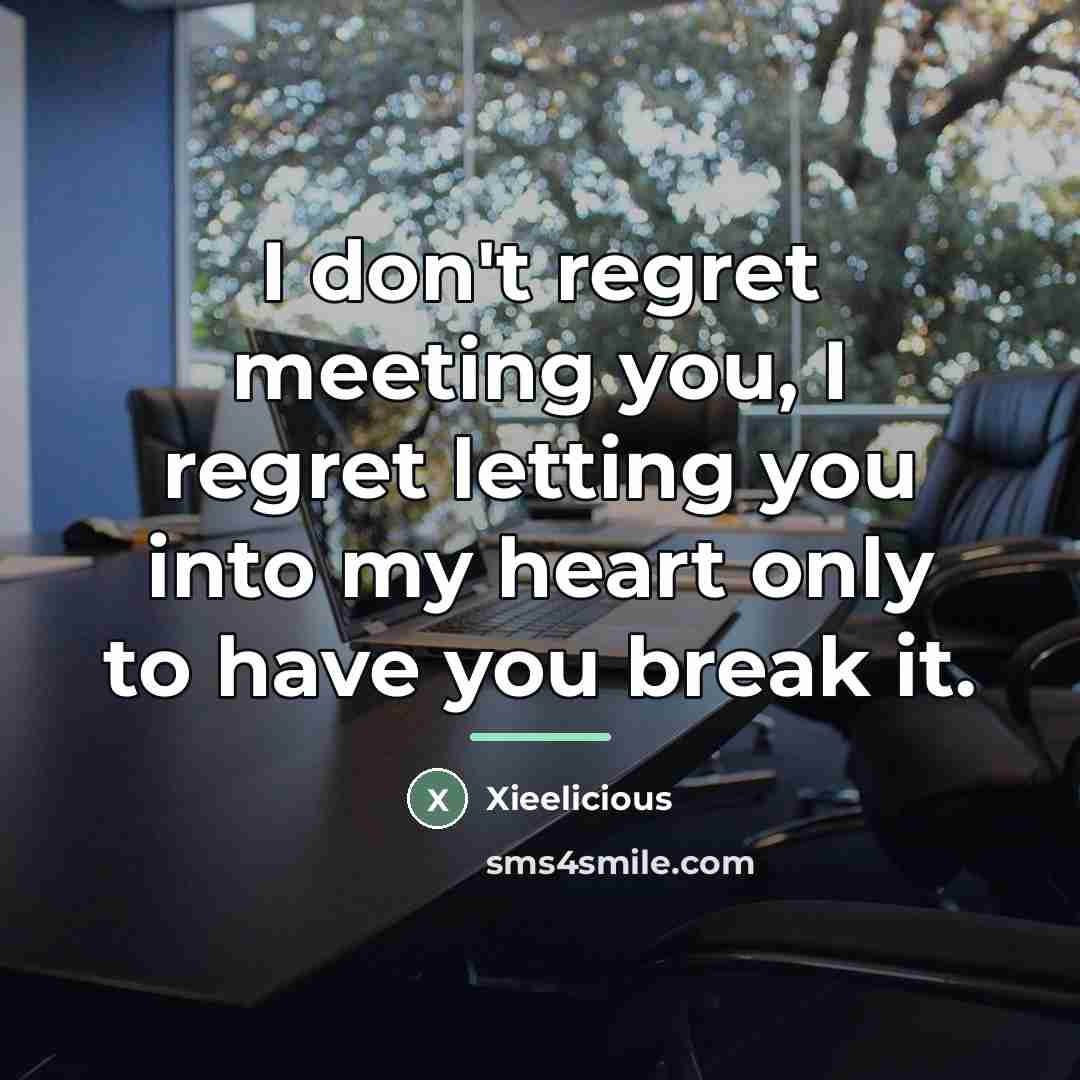 “I don't regret meeting you, I regret letting you into…” quote by Xieelicious