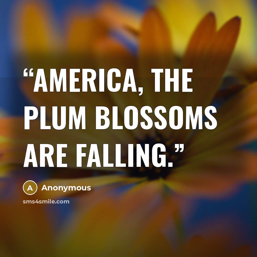 “America, the plum blossoms are falling.” quote by Anonymous