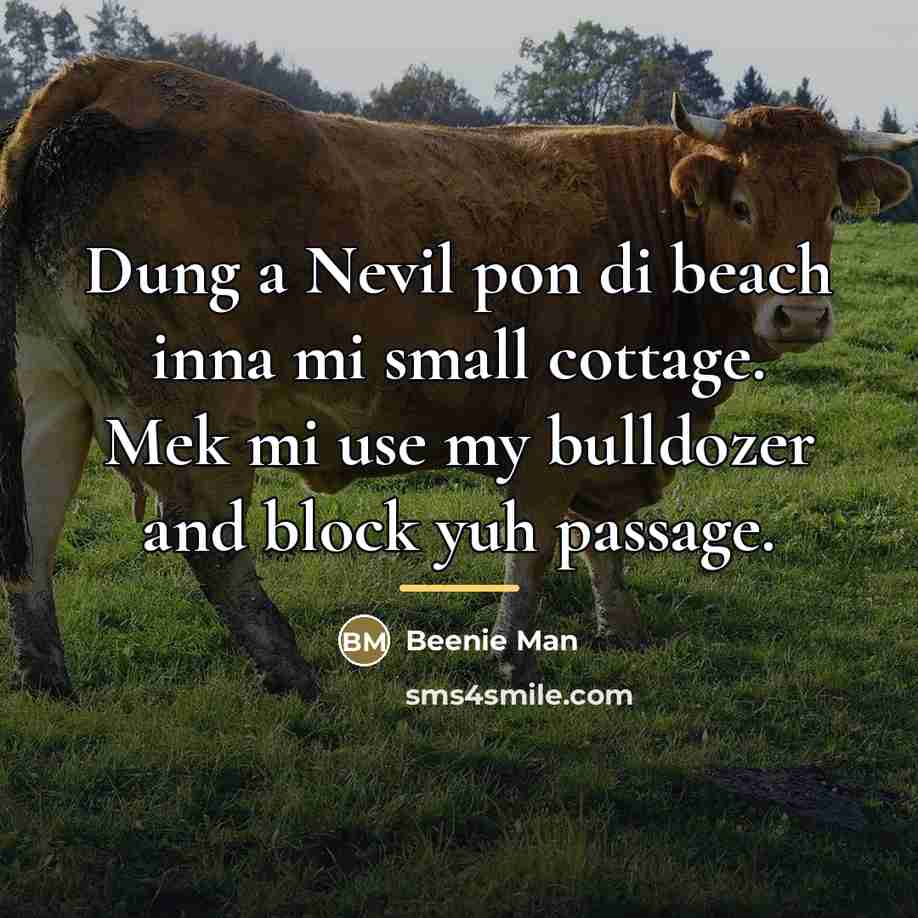 “Dung a Nevil pon di beach inna mi small cottage.…” quote by Beenie Man