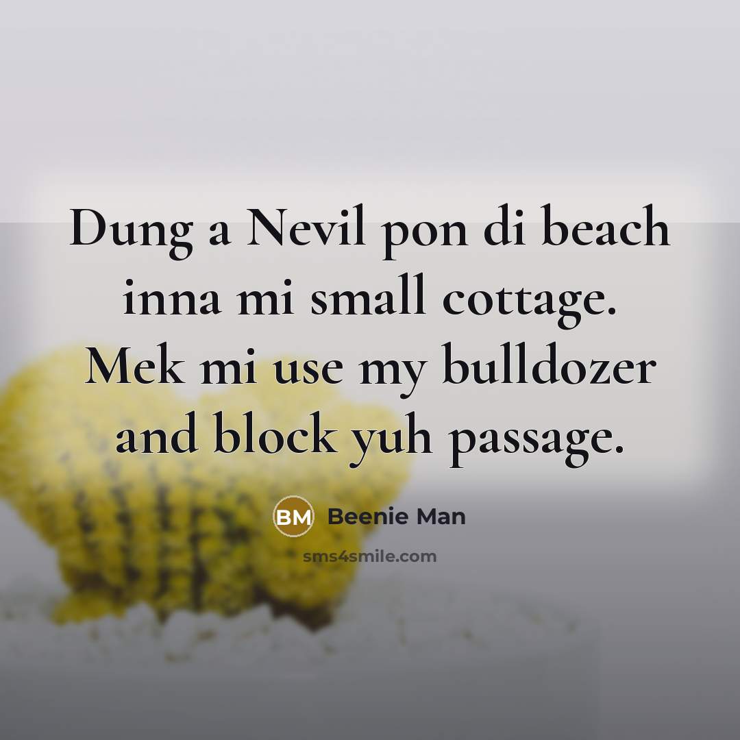 “Dung a Nevil pon di beach inna mi small cottage. Mek mi use my bulldozer and block yuh passage.” quote by Beenie Man