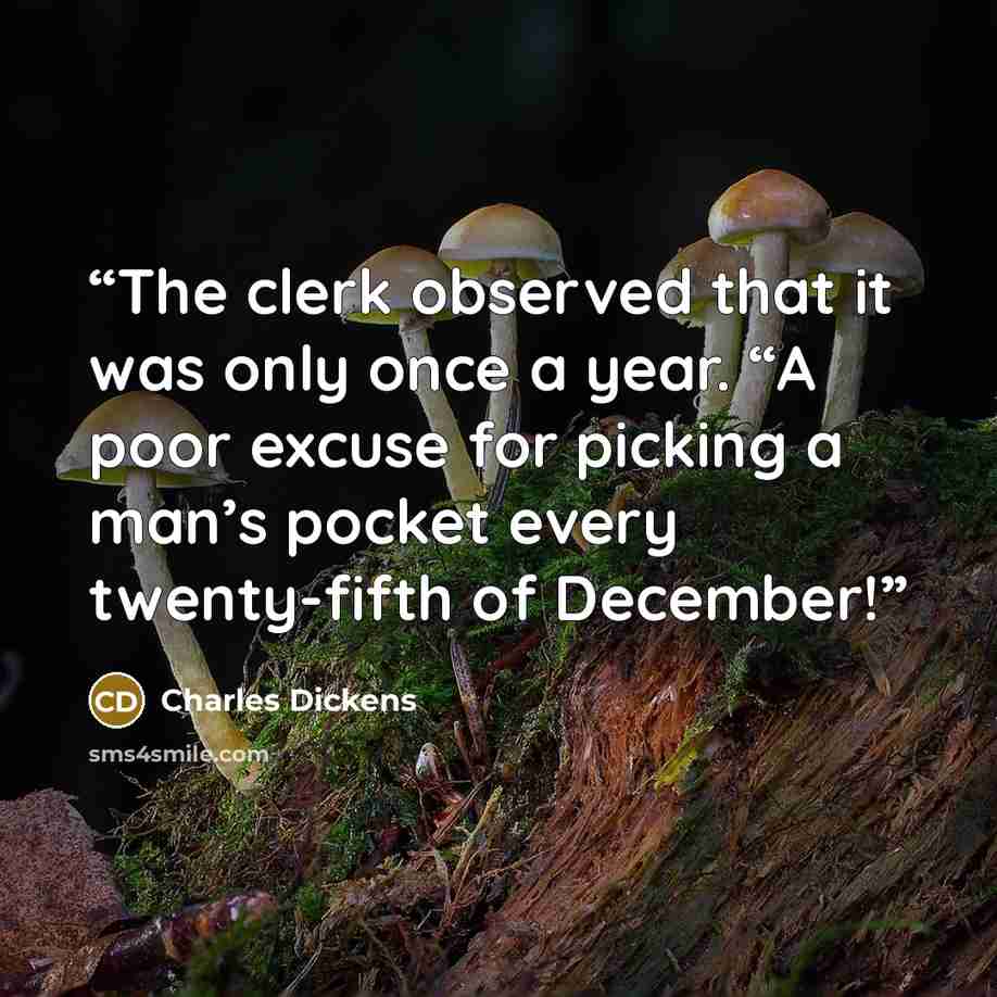 “The clerk observed that it was only once a year. “A poor excuse for picking a man’s pocket every twenty-fifth of December!” quote by Charles Dickens