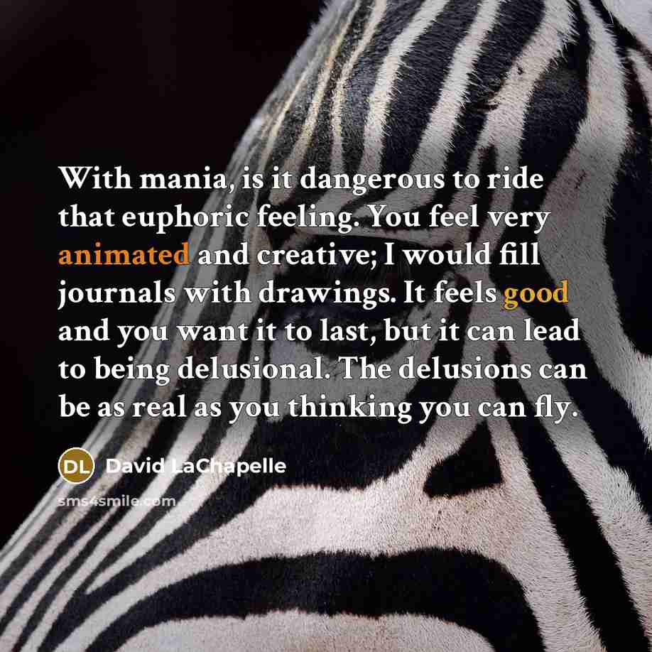 “With mania, is it dangerous to ride that euphoric feeling.…” quote by David LaChapelle