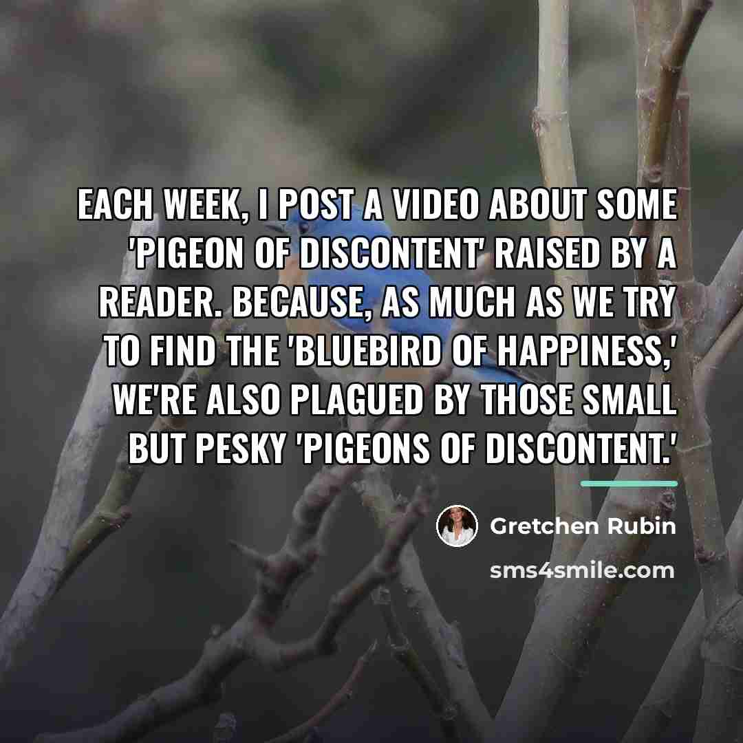“Each week, I post a video about some 'Pigeon of…” quote by Gretchen Rubin
