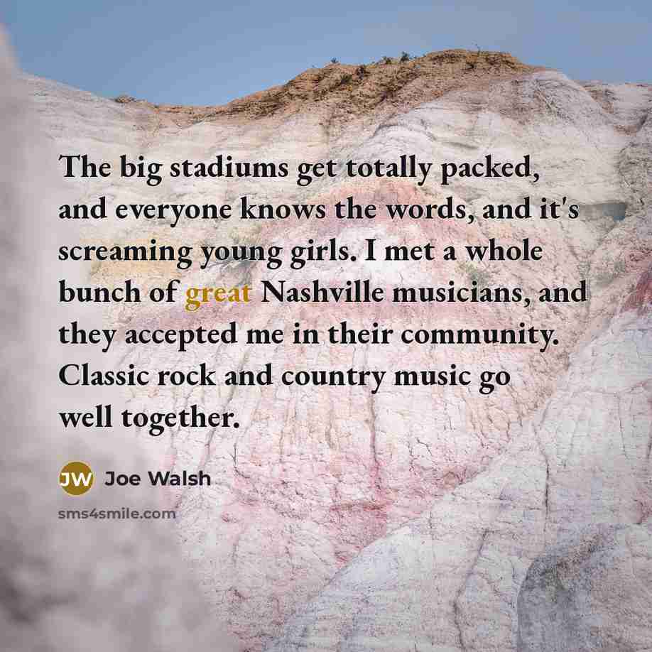“The big stadiums get totally packed, and everyone knows the…” quote by Joe Walsh