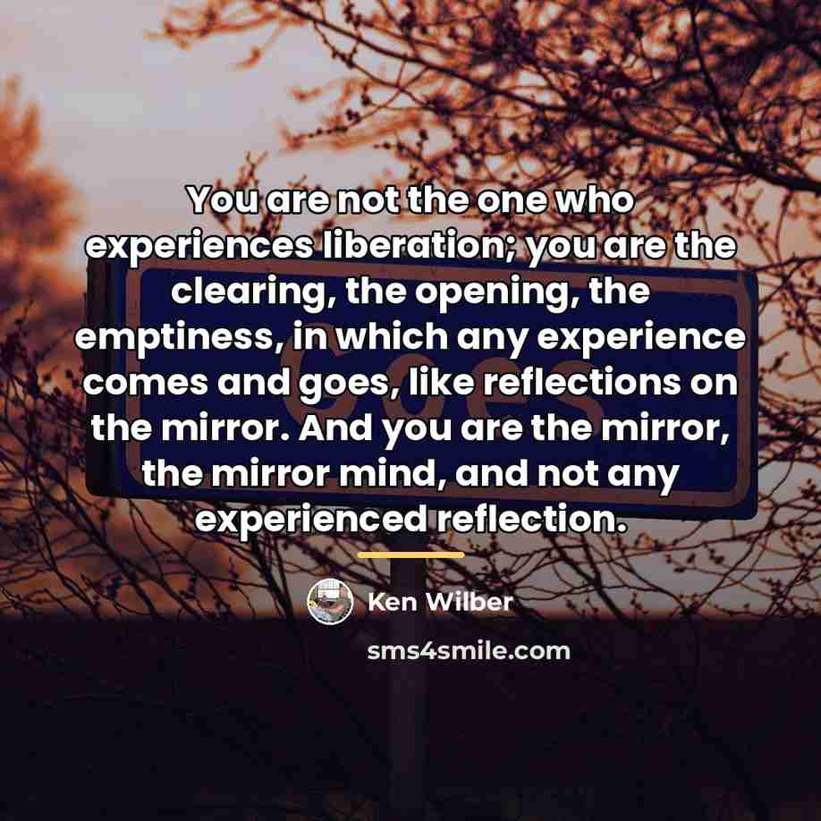 “You are not the one who experiences liberation; you are…” quote by Ken Wilber
