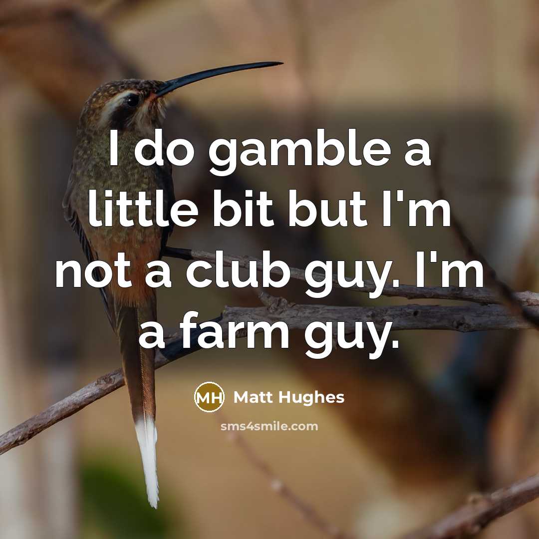 “I do gamble a little bit but I'm not a…” quote by Matt Hughes