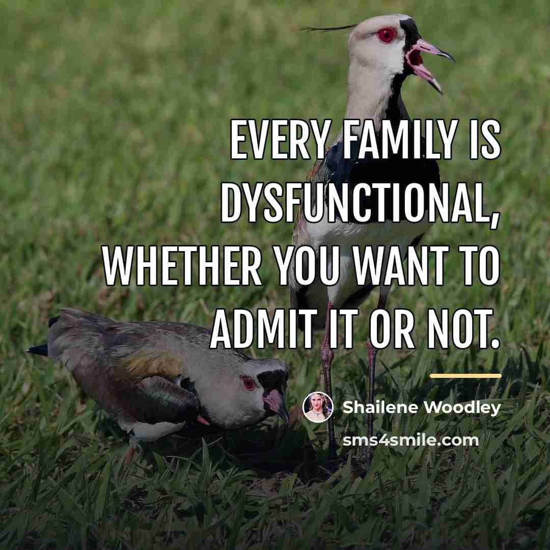 “Every family is dysfunctional, whether you want to admit it…” quote by Shailene Woodley