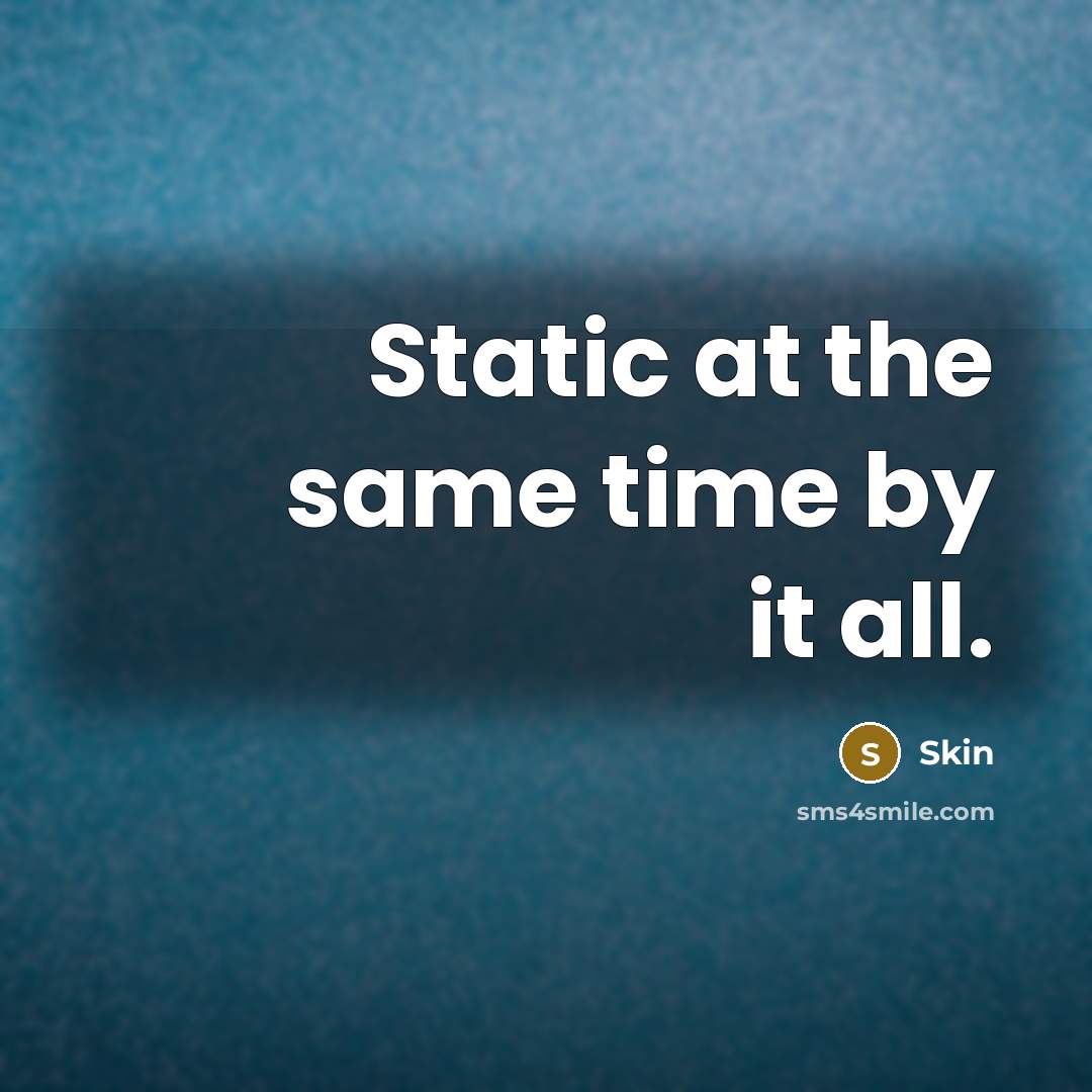 “Static at the same time by it all.” quote by Skin