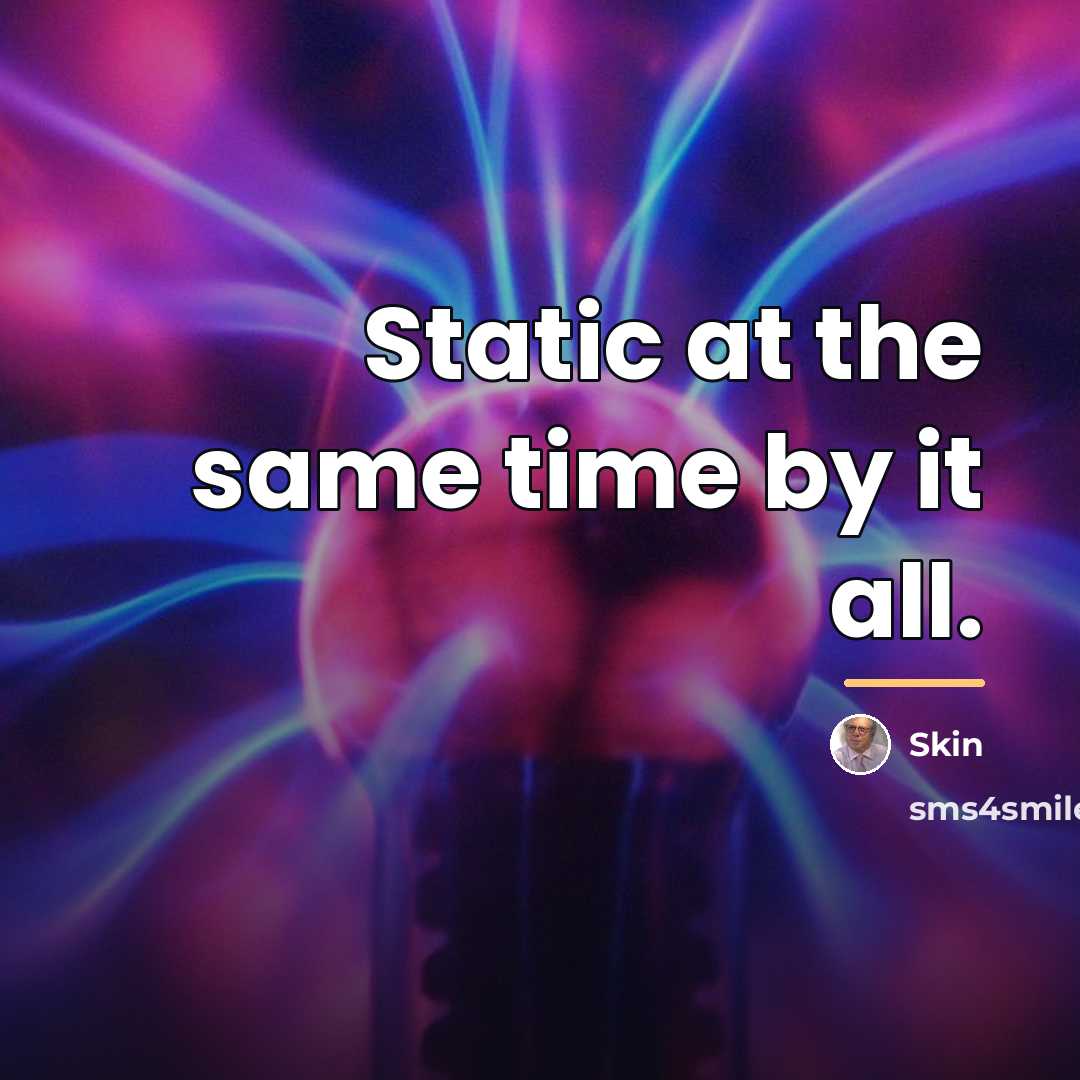 “Static at the same time by it all.…” quote by Skin
