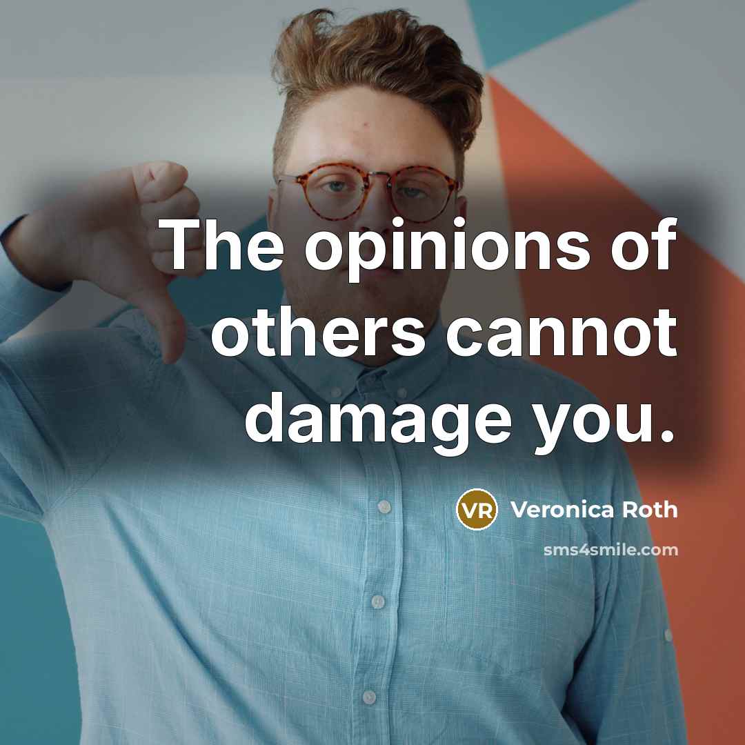 “The opinions of others cannot damage you.…” quote by Veronica Roth