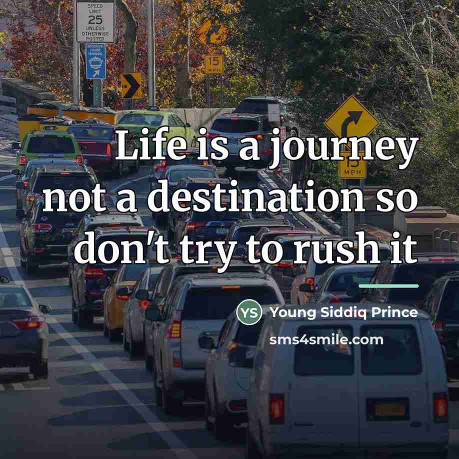 “Life is a journey not a destination so don't try…” quote by Young Siddiq Prince