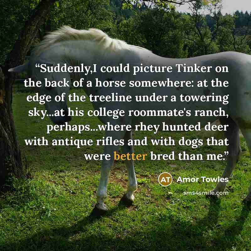“Suddenly,I could picture Tinker on the back of a horse somewhere: at the edge of the treeline under a towering sky...at his college roommate's ranch, perhaps...where rhey hunted deer with antique rifles and with dogs that were better bred than me.” quote by Amor Towles