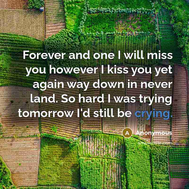 “Forever and one I will miss you however I kiss you yet again way down in never land. So hard I was trying tomorrow I'd still be crying.” quote by Anonymous