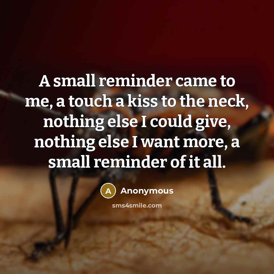 “A small reminder came to me, a touch a kiss to the neck, nothing else I could give, nothing else I want more, a small reminder of it all.” quote by Anonymous