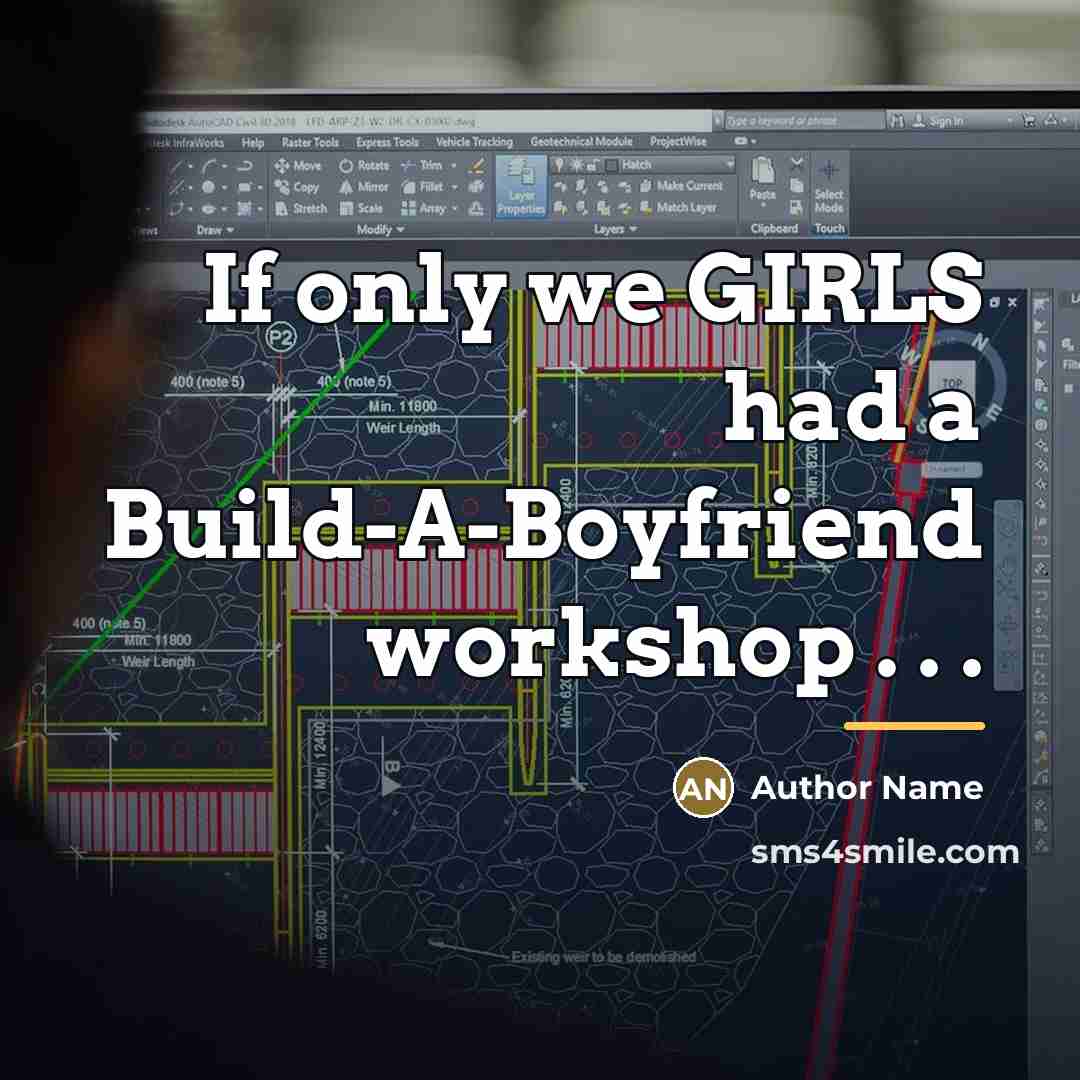 “If only we GIRLS had a Build-A-Boyfriend workshop . .…” quote by Author Name